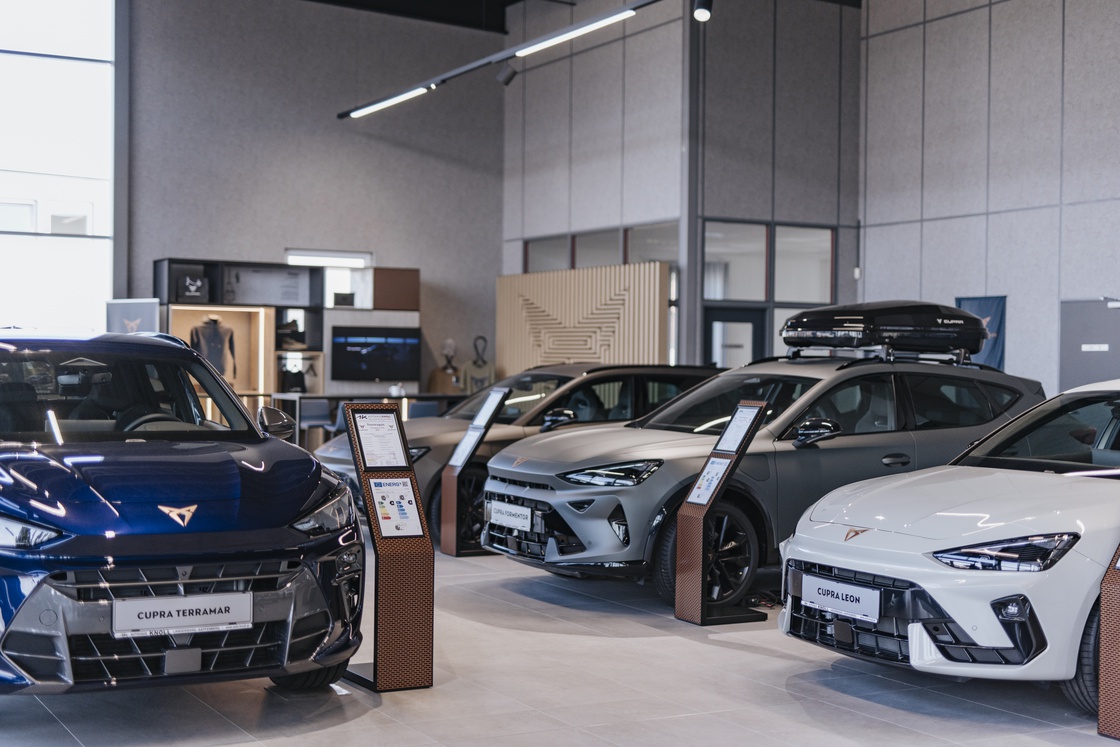 Autohaus Knoll_neuer Look_300dpi_2025 (C) nicoleseiser-at-78.jpg