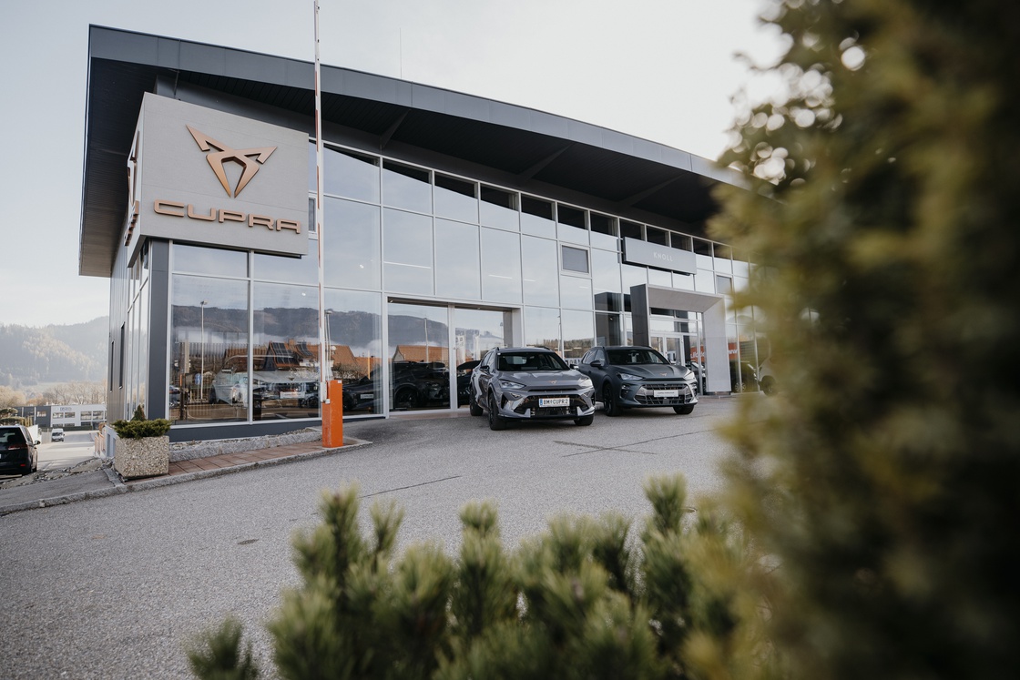 Autohaus Knoll_neuer Look_300dpi_2025 (C) nicoleseiser-at-112.jpg